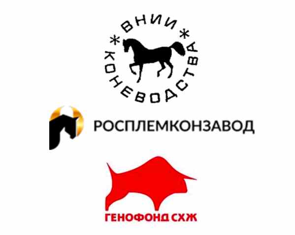 Сохранение генетических ресурсов местных пород лошадей